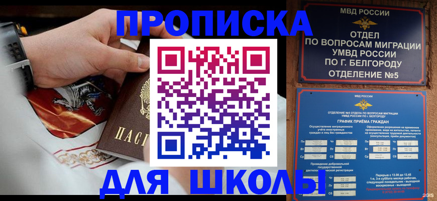 пропишу в квартире в Вязьме